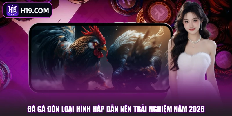Đá gà đòn loại hình hấp dẫn nên trải nghiệm năm 2026