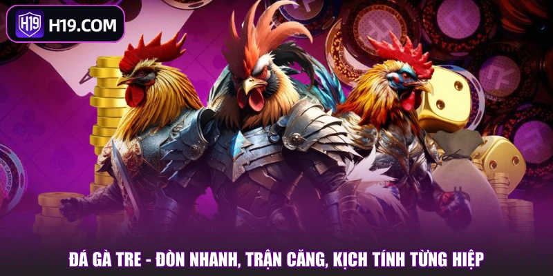 Đá Gà Tre - Đòn Nhanh, Trận Căng, Kịch Tính Từng Hiệp