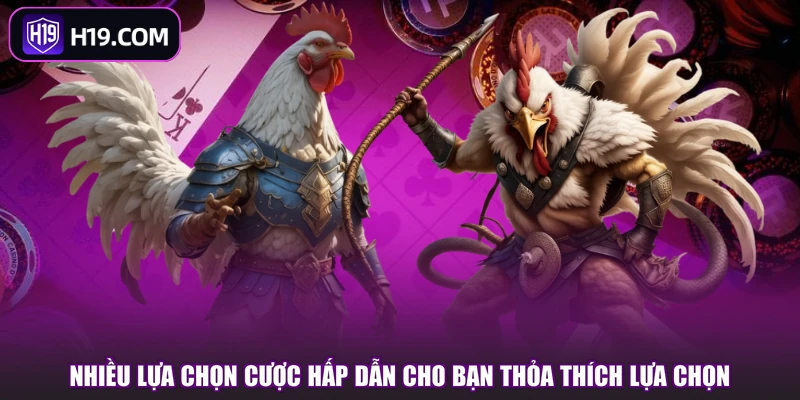 Nhiều lựa chọn cược hấp dẫn cho bạn thỏa thích lựa chọn